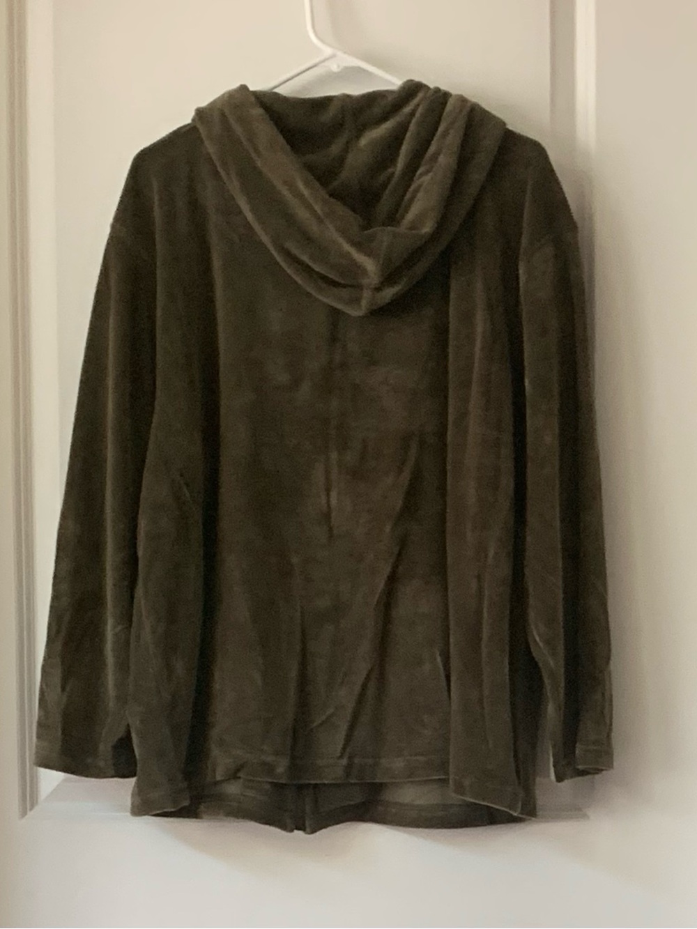 Velour Zip-Front Hoodie - Picture 2 of 3